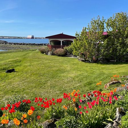 Alka - Cozy Room By The Sea With Private Hot Tub Njarthvik Exterior foto